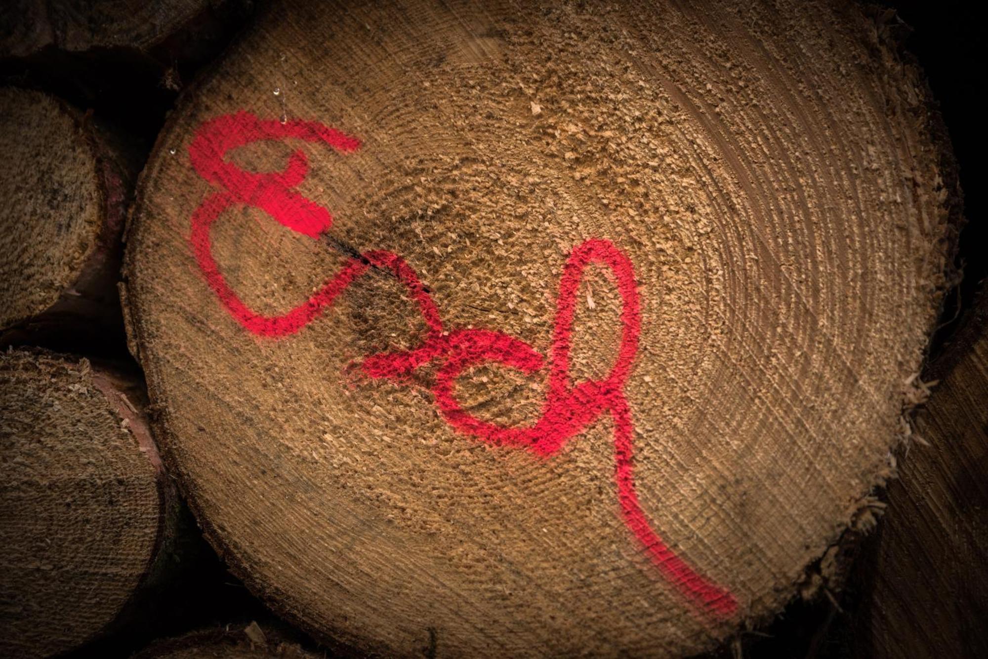Holzhaus Onkel Fritz Mit Sauna Und Whirlwanne Esch  Luaran gambar