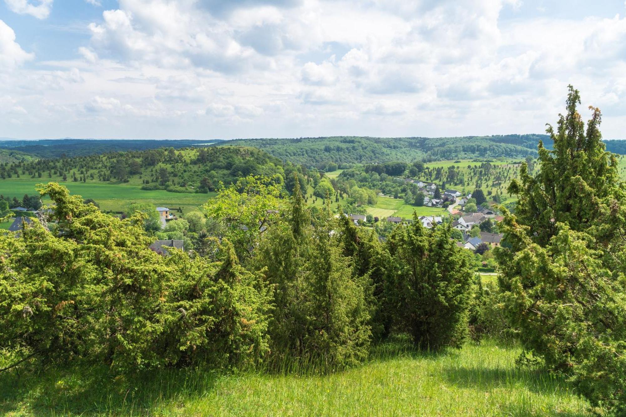Holzhaus Onkel Fritz Mit Sauna Und Whirlwanne Esch  Luaran gambar
