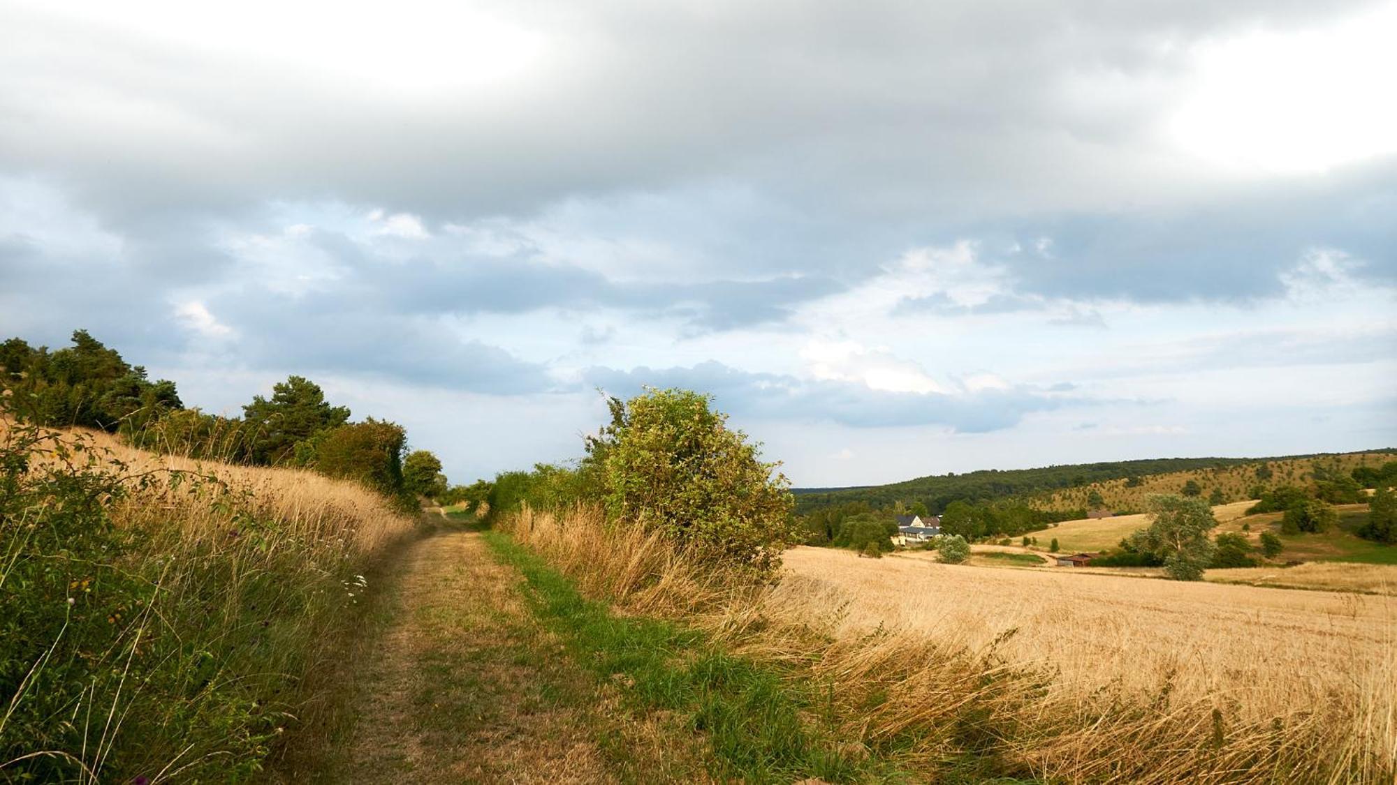 Holzhaus Onkel Fritz Mit Sauna Und Whirlwanne Esch  Luaran gambar