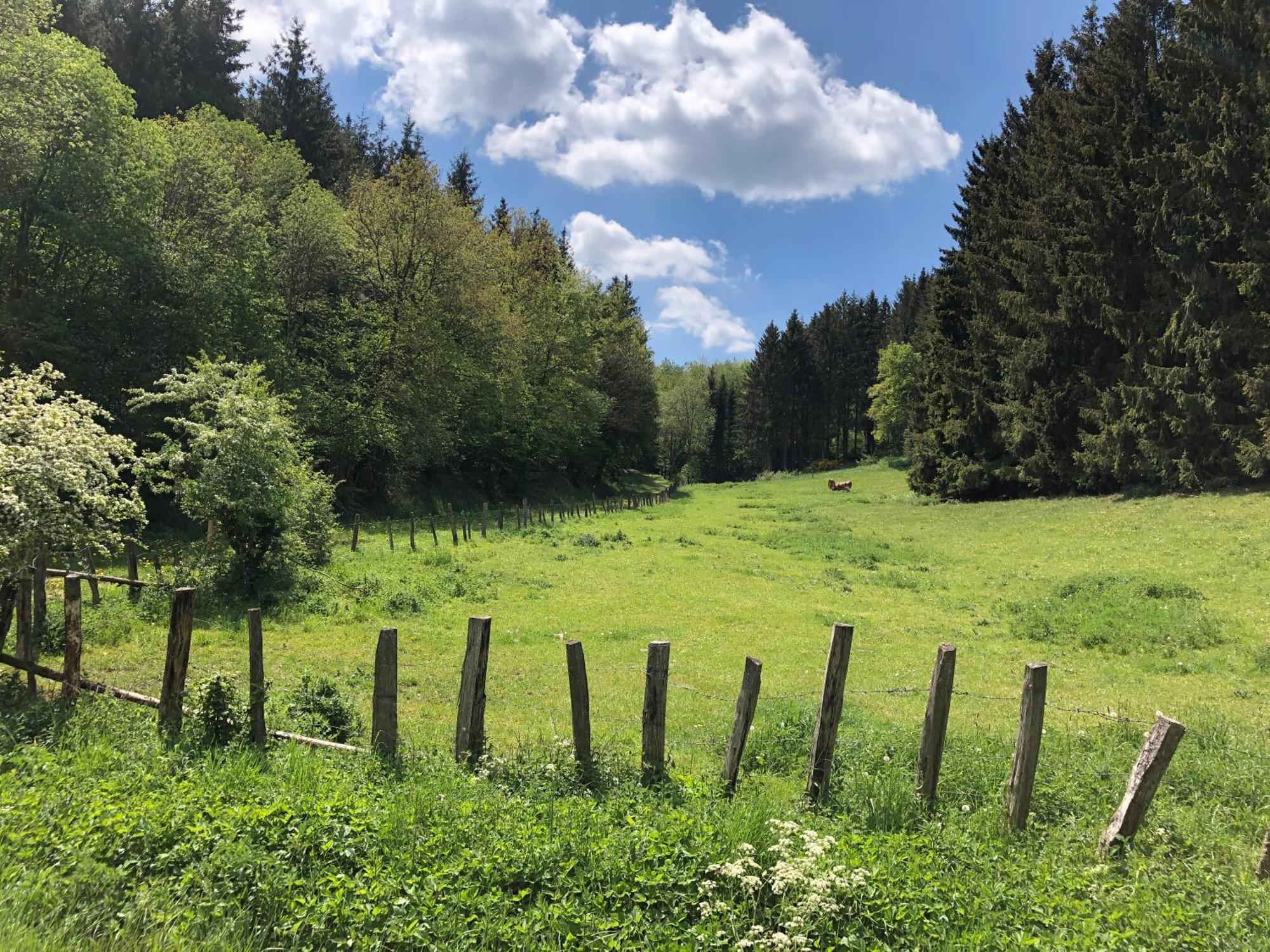 Holzhaus Onkel Fritz Mit Sauna Und Whirlwanne Esch  Luaran gambar